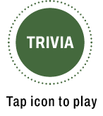 Trvia open